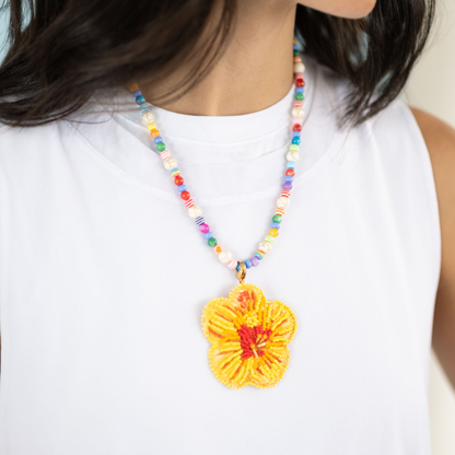 Collar Multicolor
