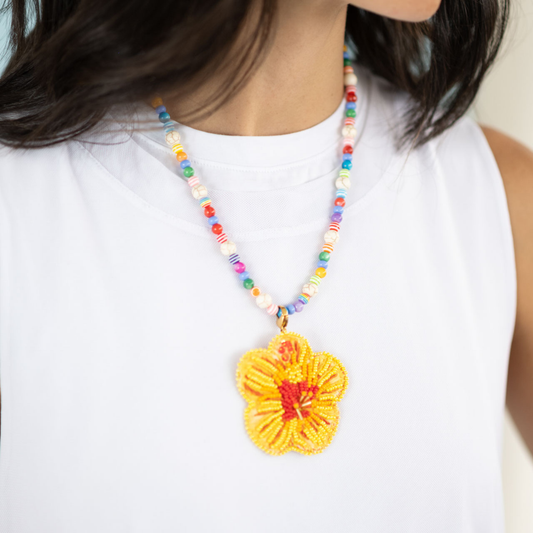 Collar Multicolor